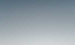 Почему парни, у которых есть девушка, общаются с другими девушками? Исследуем причины