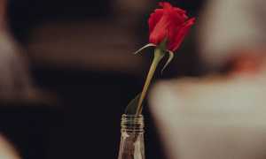 Почему парень должен платить за девушку на первом свидании? Мнение экспертов