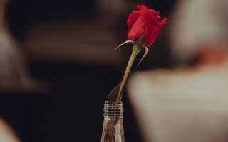 Почему парень должен платить за девушку на первом свидании? Мнение экспертов