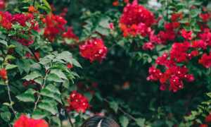 Почему я захожу на страницу к бывшей моего парня? Размышления и причины