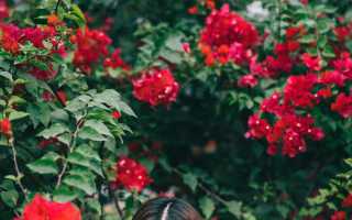 Почему я захожу на страницу к бывшей моего парня? Размышления и причины